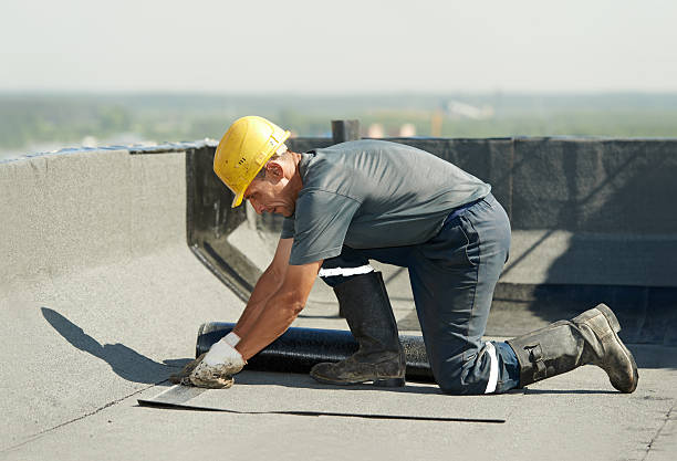 Best Residential Insulation in Eerlin, ND