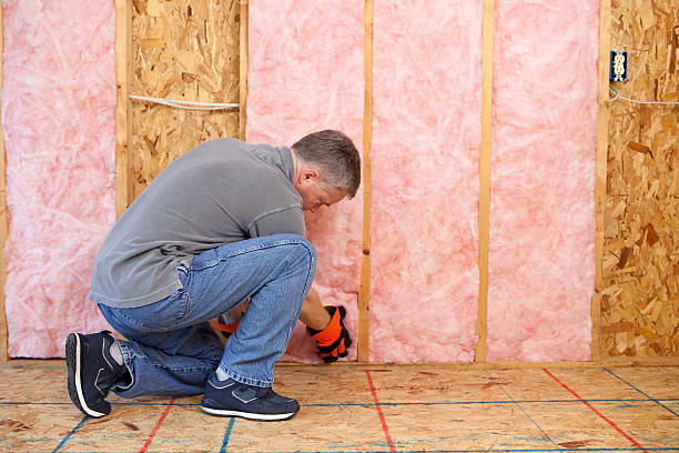 Best Insulation for Specific Applications in Eerlin, ND