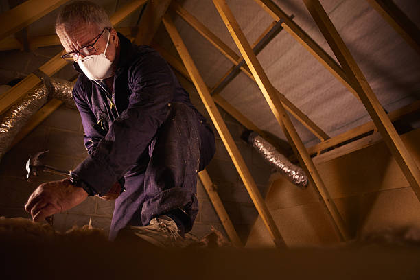 Best Types of Insulation in Eerlin, ND
